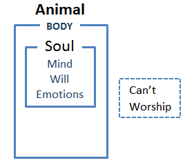 Animal Animal: Body & Soul